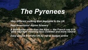 why are pyrenees inexpensive
